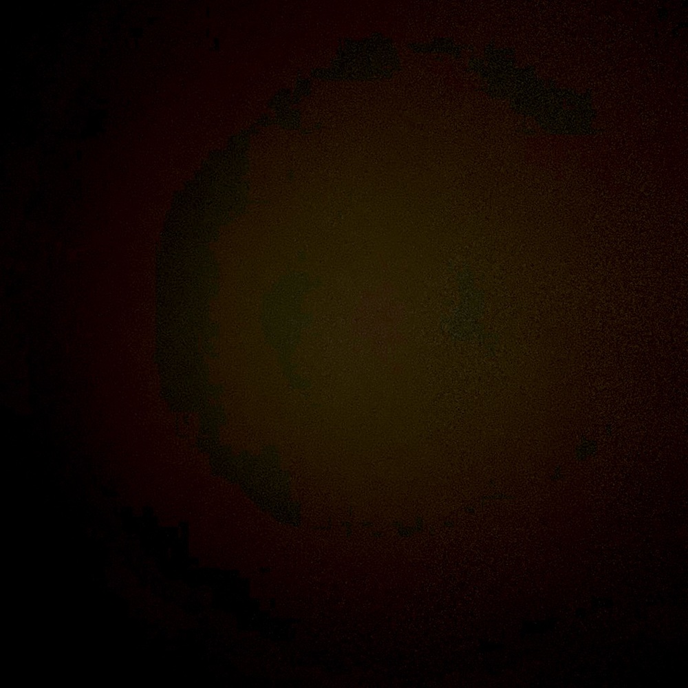 Meet your Posher, Jayme